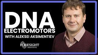 Aleksei Aksimentiev | DNA Electromotors