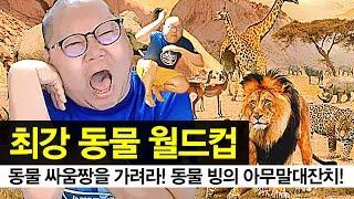 감스트 : 최강 동물 월드컵, 동물 싸움짱을 가려라! 미친 텐션 동물 빙의 아무말대잔치!