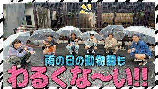 SixTONES【アポなし旅 2024夏～04～】大雨の動物園でレア体験!?