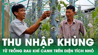 Nông dân trồng rau khí canh trên diện tích nhỏ, thu nhập khủng ở Hậu Giang | Báo điện tử Dân Việt