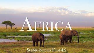 Amazing Wildlife Of AFRICA In 4K | Aerial Drone | Scenic Scenes Film