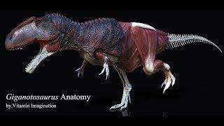 Giganotosaurus anatomy by. Vitamin Imagination