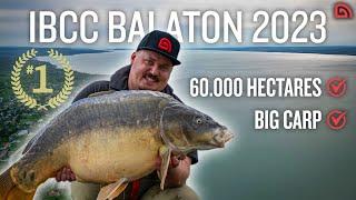 The WORLD BIGGEST Carp Competition - Team Trakker - IBCC 2023 BALATON