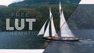 Free LUT for Cinematic Color Grading (with tutorial)