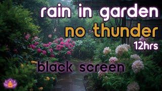 [Black Screen] Rain in Garden No Thunder | Rain on Leaves, Plants & Roof | Rain Sounds for Sleeping