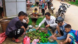 Harvesting Leftover Passion Fruit and Wild Avocado Orchards to Sell at Market | Family Farm