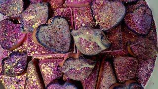 Crunchy Reforms w Plain Jane Gymchalk Crush ~ ASMR