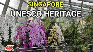 Singapore 4K | Singapore Botanical Garden Tour | Singapore UNESCO World Heritage Sites