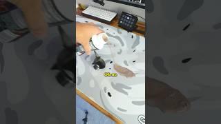 How To Clean Your Mousepad