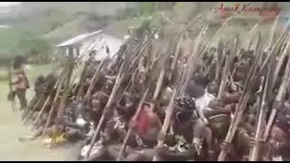 Nyanyian Kebudayaan Suku Lani West Papua