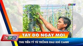 Thu tiền tỷ từ trồng rau khí canh | Cần Thơ TV