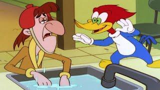 Ms. Meany's Remedies  | Woody Woodpecker