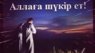 Асыл сөздер. Нақыл сөздер. Өмір деген солай...