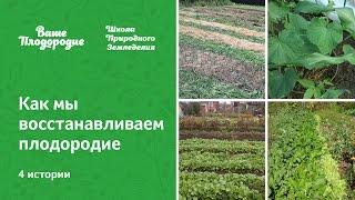 Как мы восстанавливаем плодородие