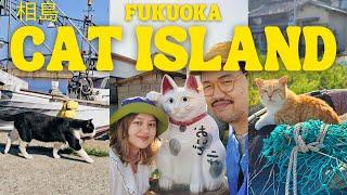 Visiting Japan's Cat Island  Fukuoka Japan Vlog, Kyushu Travel, Ainoshima, Aoshima, Tashirojima