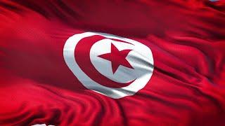 Tunisia Flag 5 Minutes Loop - FREE 4k Stock Footage - Realistic Tunisian Flag Wave Animation