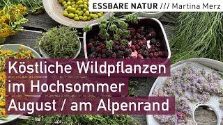 Wildpflanzenernte im Hochsommer // Essbare Blüten, Kräuter & Früchte: Sammeln. Bestimmen. Zubereiten