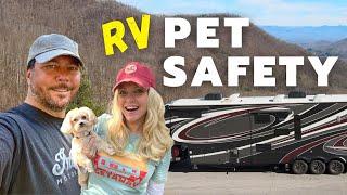 RV Pet Safety (RV Living)