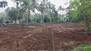 35 Cents, Residential Plot for Sale in Thiruvalla