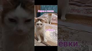 Лорик в гостях у Лёвки.