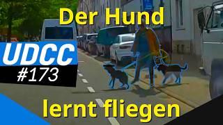 Unverantwortlicher Vater und Wischwasser ins Cabrio | Folge 173 | UDCC German Dashcam