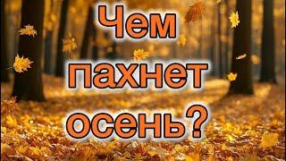 Чем пахнет осень?  Пять ароматов с "осенним" настроением. Парфюмерно-музыкальная композиция.