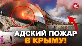 ️СРОЧНАЯ эвакуация из Крыма! Пожар в Коктебеле УНИЧТОЖИЛ санатории! Люди бегут в УЖАСЕ