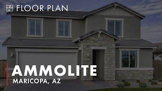 The Ammolite Floor Plan by Richmond American Homes