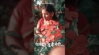 Garlands Love #ytshorts #garlands #gajara #nature #flowers #love