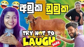 අමුක ඩුමක නැටෙව්වා | Dare Edition | Adam And Vishu