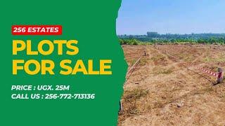 Plots for sale at Mukono Mbalala Estate | 256 Estates | Uganda Real Estate