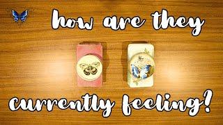 HOW ARE THEY CURRENTLY FEELING ABOUT YOU? + LOVE NOTES FROM THEM   Timeless Tarot Reading 