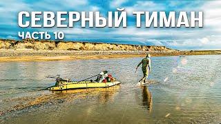Застряли в приливной зоне. Раненый олень ищет спасения у людей. Схватка с гигантской рыбой.