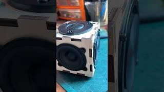 2.75 inch DIY speaker, nice radiators