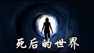 【震撼】瀕死體驗中看到好多人在排隊 輪迴轉世 死後看到的世界是什麼樣？世界是虛擬的？(1)