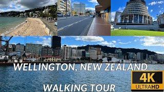 Wellington, New Zealand Walking Tour [4K]