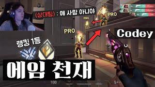 프로들도 이긴다는 에임을 가진 랭킹 1등 스트리머 Codey