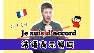 如何用法语表达“赞成”｜法语学习｜别只会说：je suis d’accord ｜地道法语学习 #小语种 #法国 #法语 #赞成