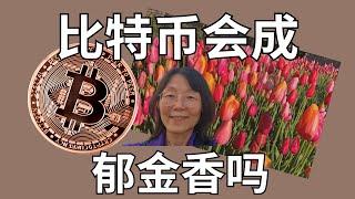 比特币会成为下一个郁金香吗？Will Bitcoin Become the Next Tulip Mania?