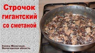 Строчки гигантские со сметаной -  весенний деликатес!