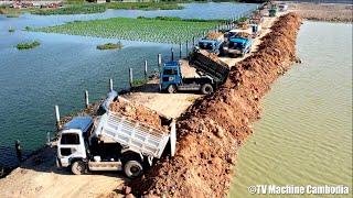 Wonderful Project Backfilling Construction Of Machinery Team Dozer & Truck 5T Spreading Into Water