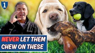 4 Things You Should NEVER Let Your Dog Chew | Essential Vet Advice