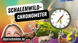 ⏱SCHALENWILD-CHRONOMETER⏱ - Jagdprüfung Wildtierkunde