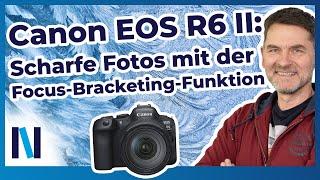 Canon EOS R6 II: Mit Focus-Bracketing durchgängig scharfe Bilder