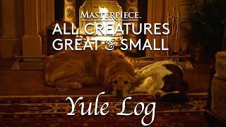 All Creatures Great and Small: Yule Log