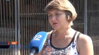 Приют "Друг" прекратил прием безнадзорных животных