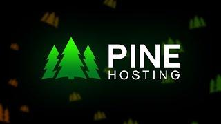 A Year Of Achievements - Pine Hosting 2023