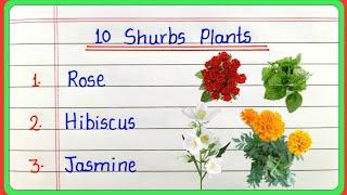 10 Shrubs name in english and hindi / Shrubs name / 10 Shurbs plant / 10 Shurbs ke naam