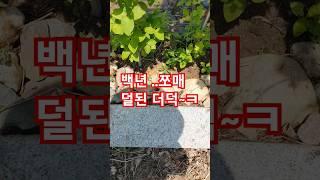 100ㅡ98년 더덕~ㅎㅎㅎ