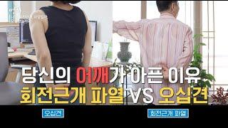 '당신의 어깨가 아픈 이유, 회전근개 파열 vs 오십견 | 어깨 | 명의 | #EBS건강